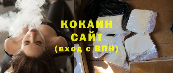 гидра Абаза
