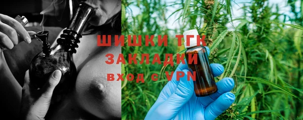 гидра Абаза