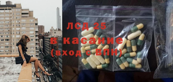 гидра Абаза