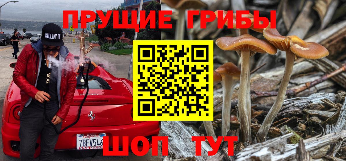 Псилоцибиновые грибы MAGIC MUSHROOMS Карпинск