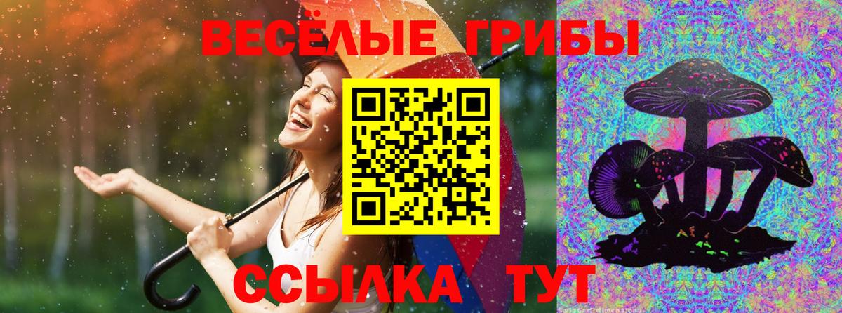 A PVP СК   Карпинск  ЭКСТАЗИ  Кокаин  Вход с VPN  МЕФ  МЕТАМФЕТАМИН  ГАШИШ  NBOMe  ГАШ  МЕФ   Марихуана 