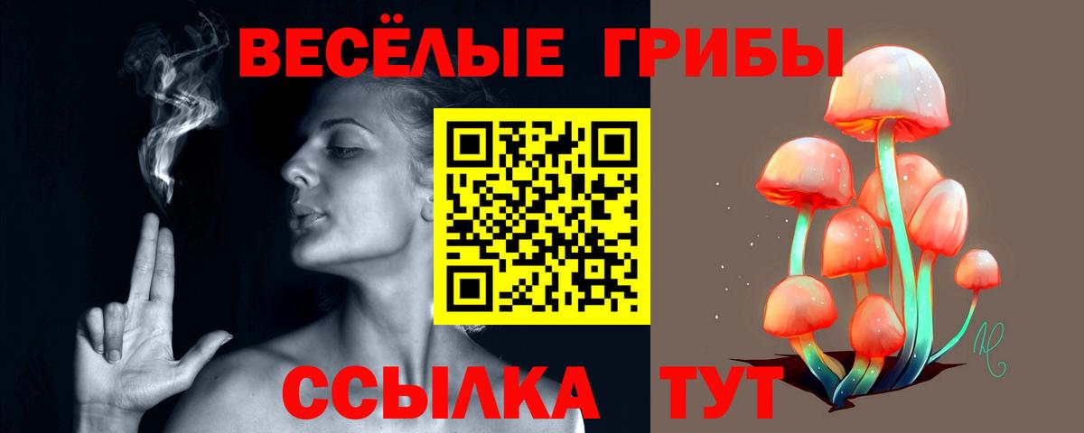 Карпинск  Псилоцибиновые грибы Psilocybine cubensis  Вход с VPN  Галлюциногенные грибы Cubensis 
